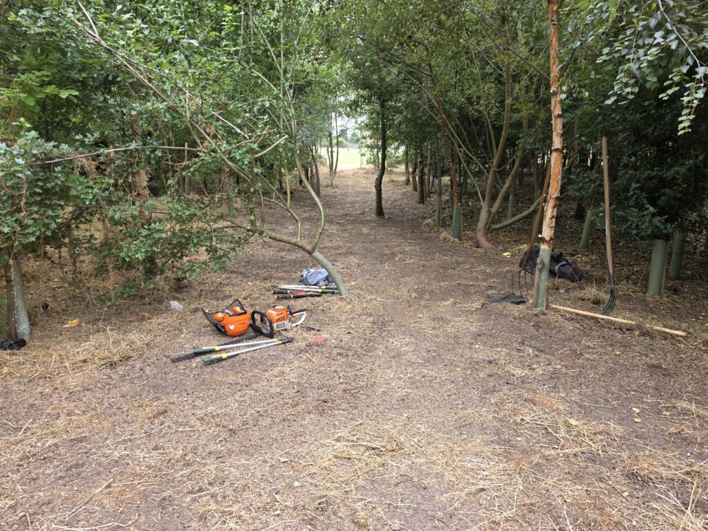 creating an outdoor classroom spaces for the Francis Askew Primary School
