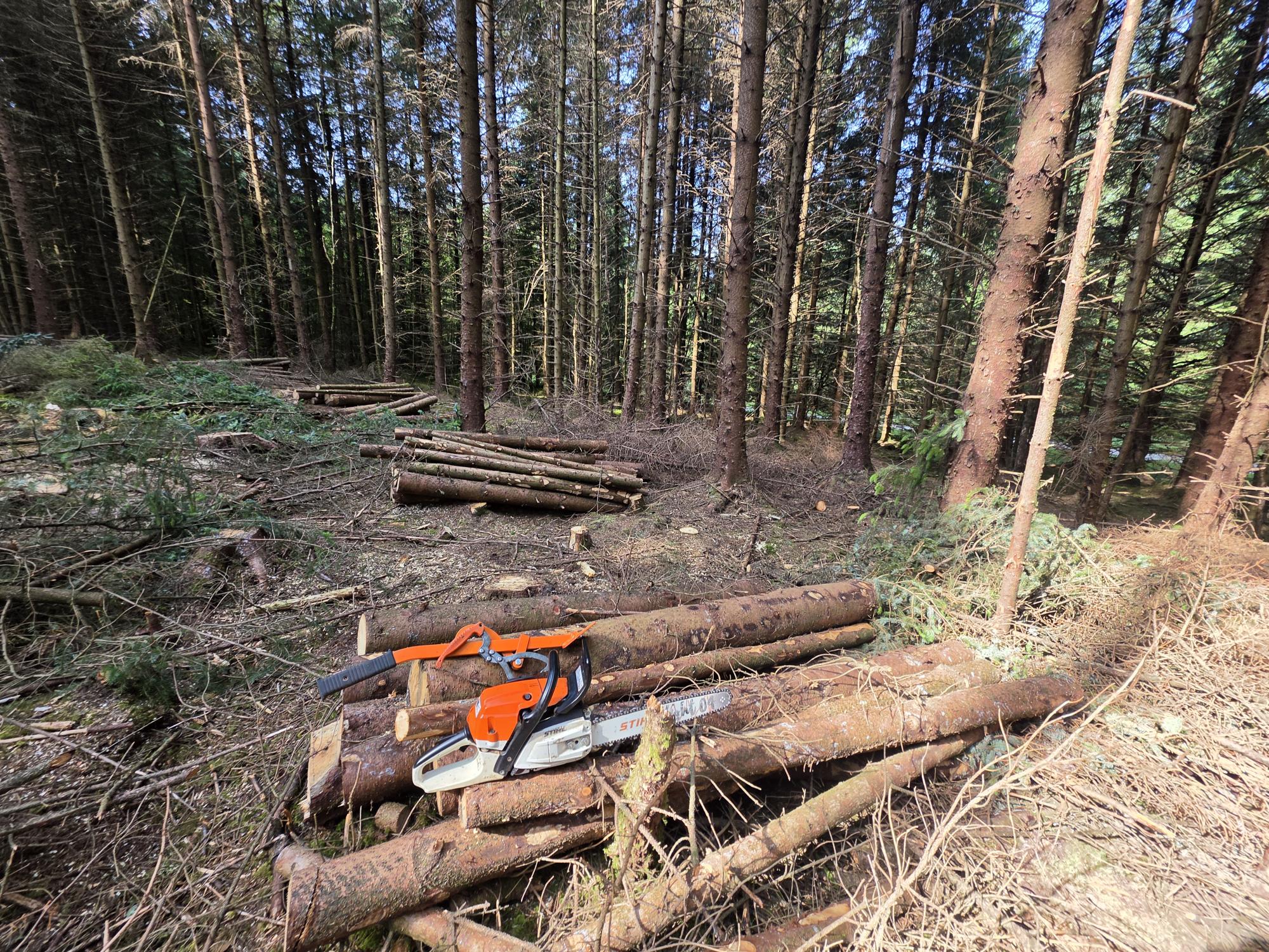 Croggicic environment